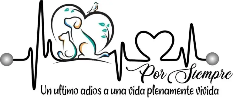 Un ultimo adiós porsiempre logo