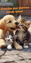 animales cariñosos