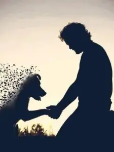 despedida de nuestro peludo compañero