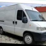 servicio de traslado de mascotas a domicilio en Buenos Aires
