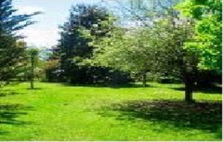 Jardines Despedida Mascotas