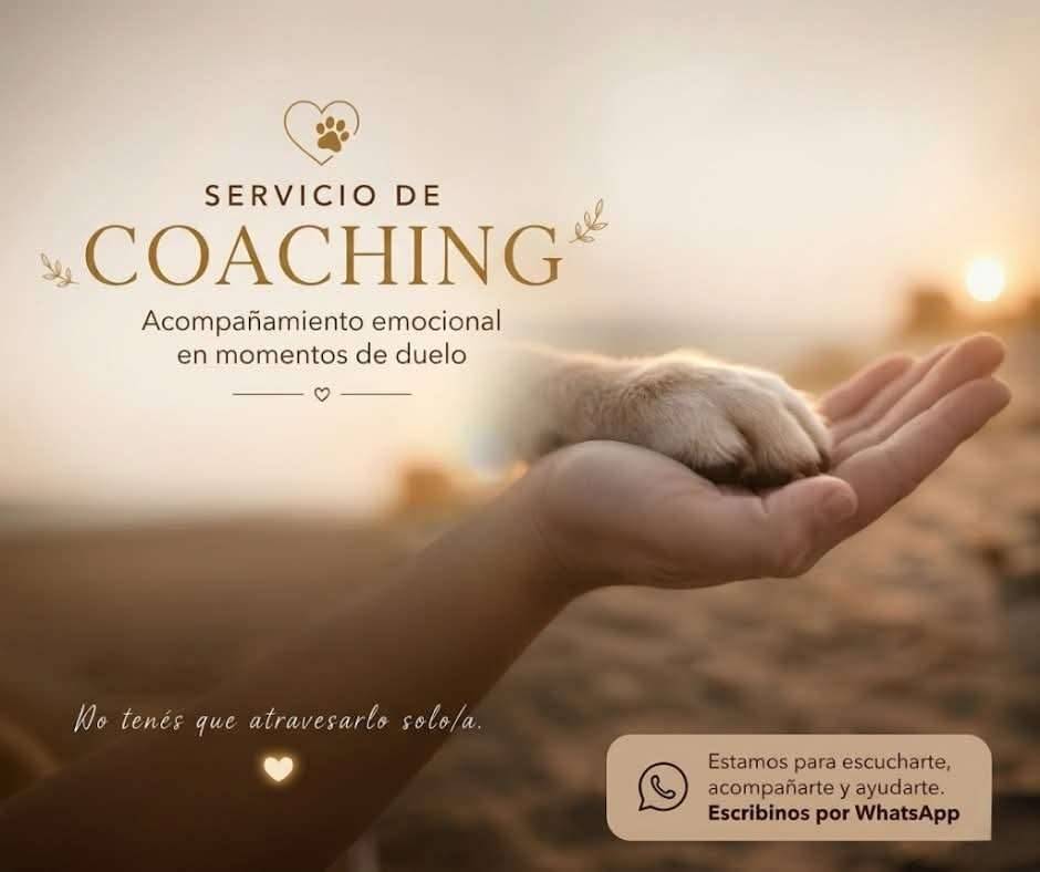 Acompañamiento emocional en momentos de duelo. No tenes que atravesarlo solo/a.